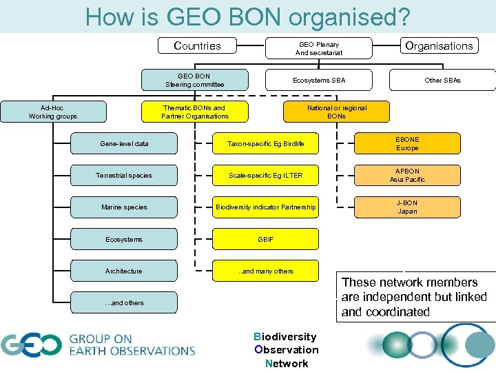 How is GEO BON organised? Countries GEO Plenary And secretariat GEO BON Steering committee