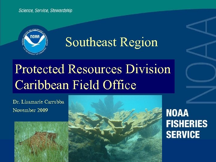 Southeast Region Protected Resources Division Caribbean Field Office Dr. Lisamarie Carrubba November 2009 