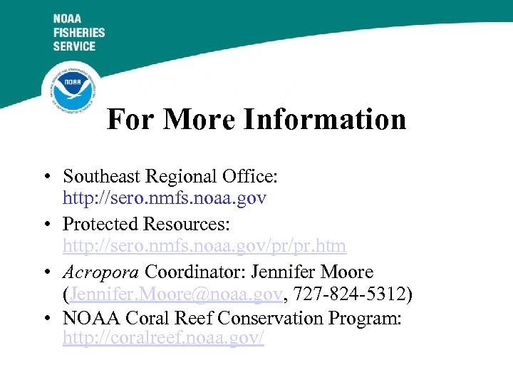 For More Information • Southeast Regional Office: http: //sero. nmfs. noaa. gov • Protected