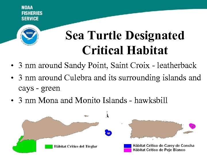 Sea Turtle Designated Critical Habitat • 3 nm around Sandy Point, Saint Croix -