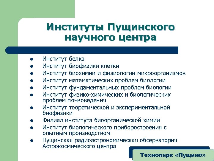 Институты Пущинского научного центра l l l l l Институт белка Институт биофизики клетки