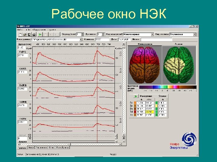 Рабочее окно НЭК 