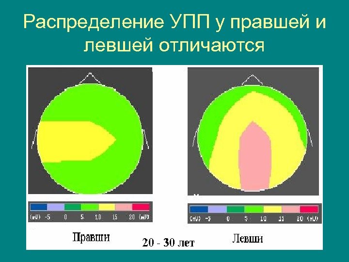 Распределение УПП у правшей и левшей отличаются 