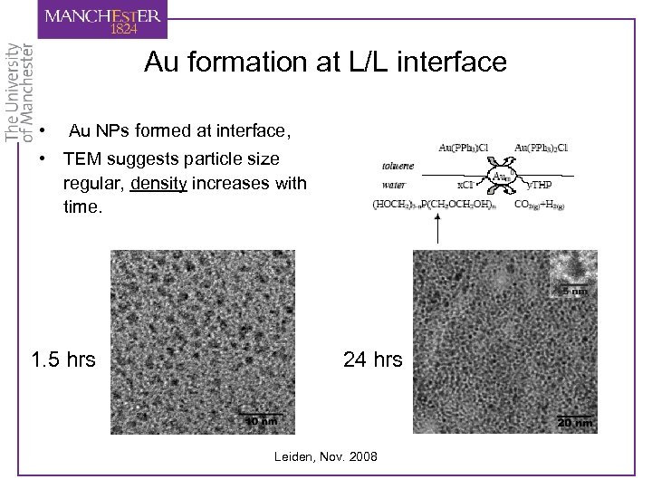 Au formation at L/L interface • Au NPs formed at interface, • TEM suggests
