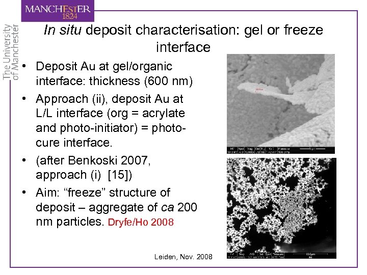 In situ deposit characterisation: gel or freeze interface • Deposit Au at gel/organic interface:
