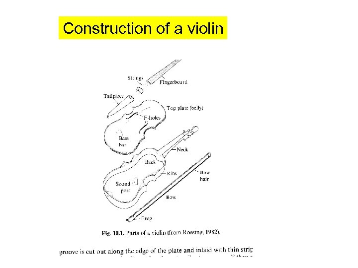 Construction of a violin 