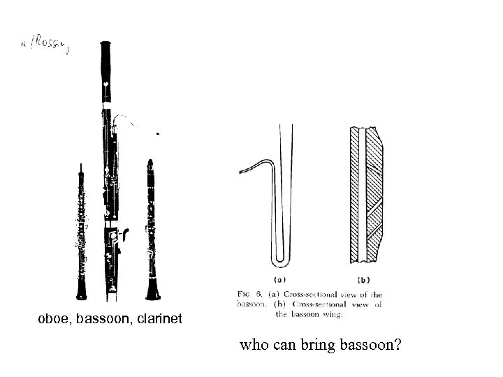 oboe, bassoon, clarinet who can bring bassoon? 