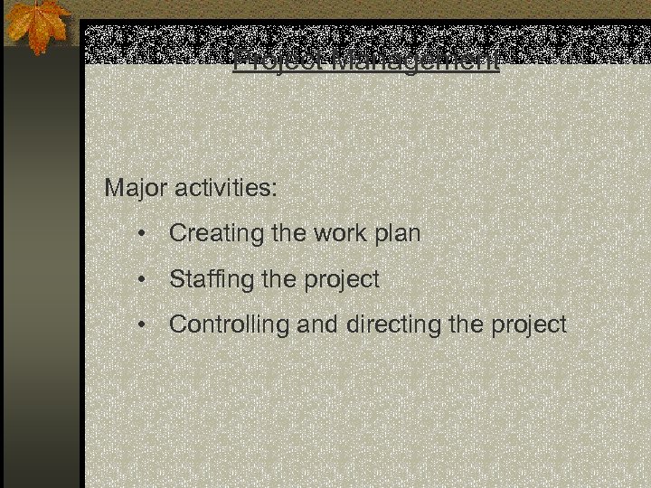 Project Management Major activities: • Creating the work plan • Staffing the project •