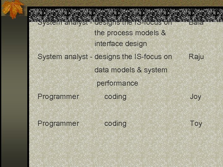 System analyst - designs the IS-focus on Bala the process models & interface design