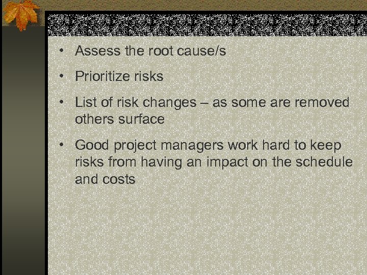  • Assess the root cause/s • Prioritize risks • List of risk changes