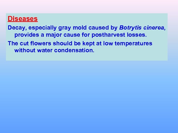 Diseases Decay, especially gray mold caused by Botrytis cinerea, provides a major cause for