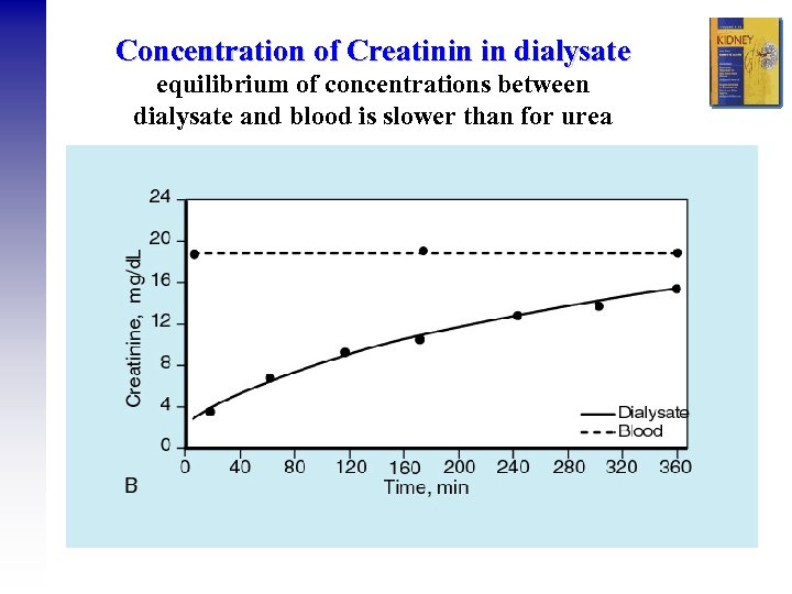 Concentration of Creatinin in dialysate equilibrium of concentrations between dialysate and blood is slower