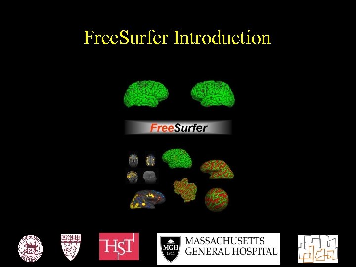 Free. Surfer Introduction 