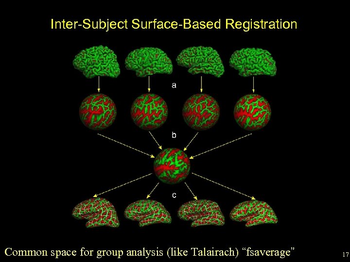 Inter-Subject Surface-Based Registration Common space for group analysis (like Talairach) “fsaverage” 17 