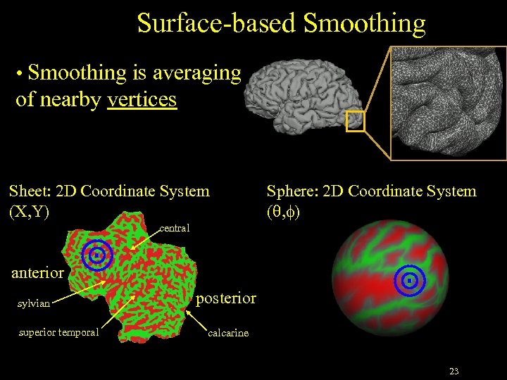 Surface-based Smoothing • Smoothing is averaging of nearby vertices Sheet: 2 D Coordinate System