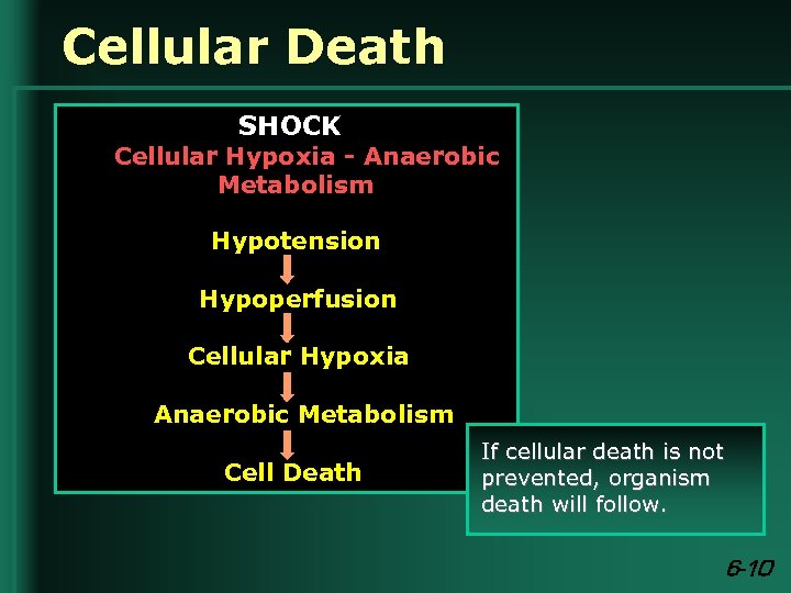 Cellular Death SHOCK Cellular Hypoxia - Anaerobic Metabolism Hypotension Hypoperfusion Cellular Hypoxia Anaerobic Metabolism