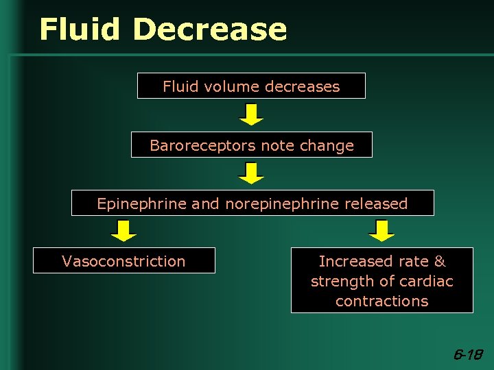 Fluid Decrease Fluid volume decreases Baroreceptors note change Epinephrine and norepinephrine released Vasoconstriction Increased