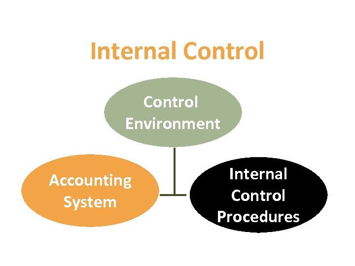 Internal Control Environment Accounting System Internal Control Procedures 