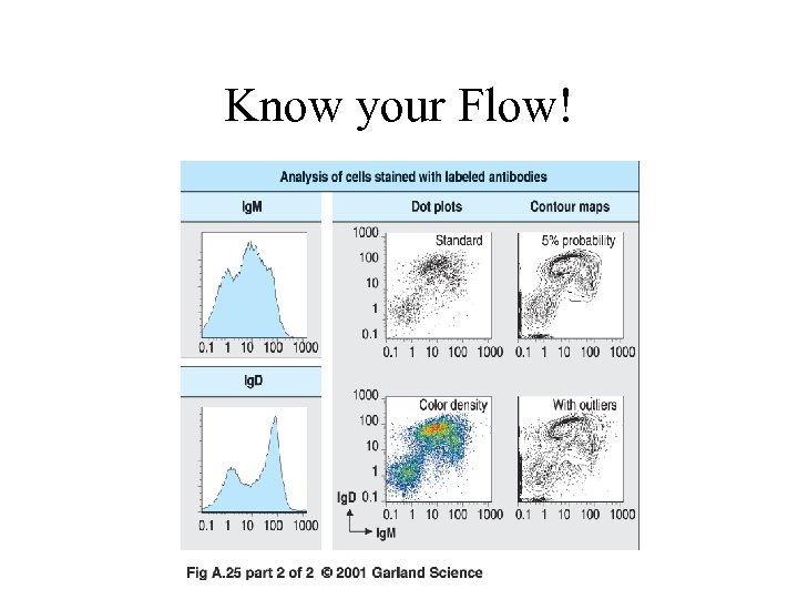 Know your Flow! 