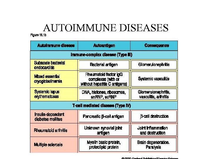 AUTOIMMUNE DISEASES 
