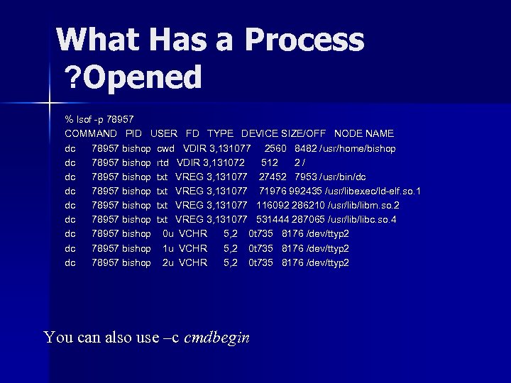 What Has a Process ? Opened % lsof -p 78957 COMMAND PID USER FD