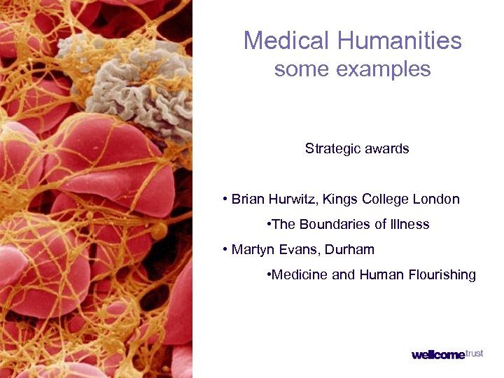 Medical Humanities some examples Strategic awards • Brian Hurwitz, Kings College London • The
