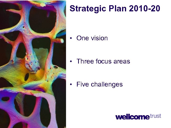 Strategic Plan 2010 -20 • One vision • Three focus areas • Five challenges