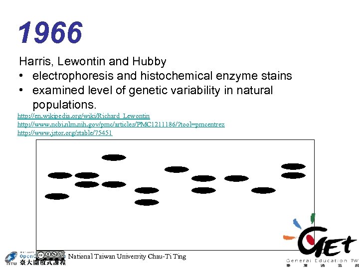 1966 Harris, Lewontin and Hubby • electrophoresis and histochemical enzyme stains • examined level