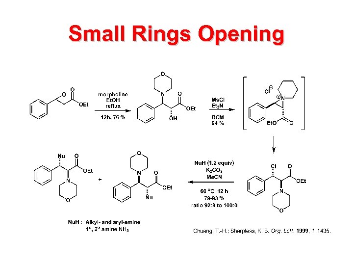 Small Rings Opening 