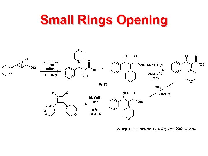 Small Rings Opening 