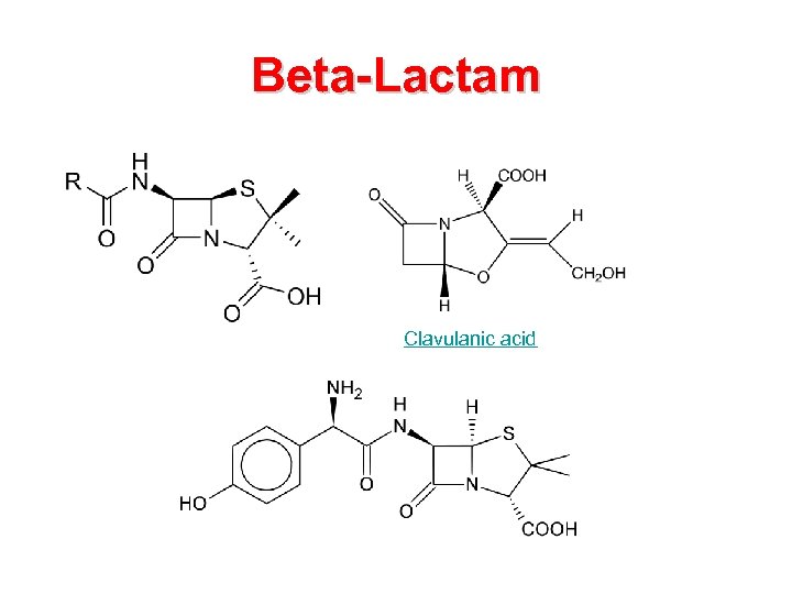 Beta-Lactam Clavulanic acid 