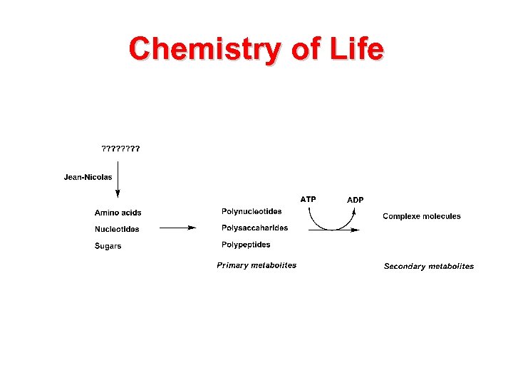 Chemistry of Life 