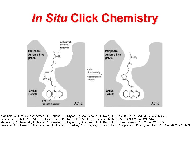 In Situ Click Chemistry 