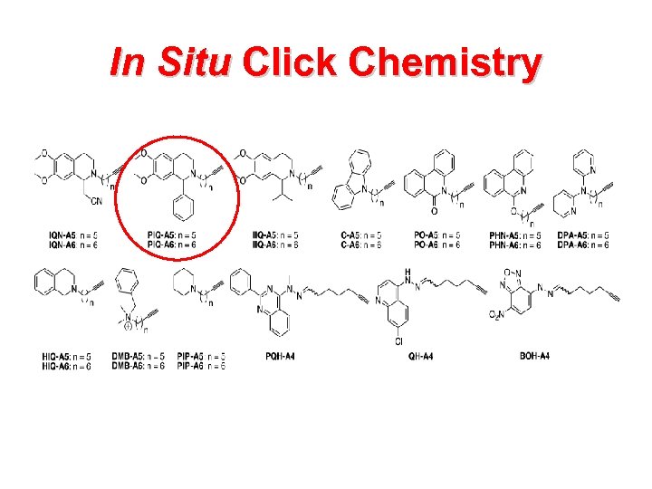 In Situ Click Chemistry 