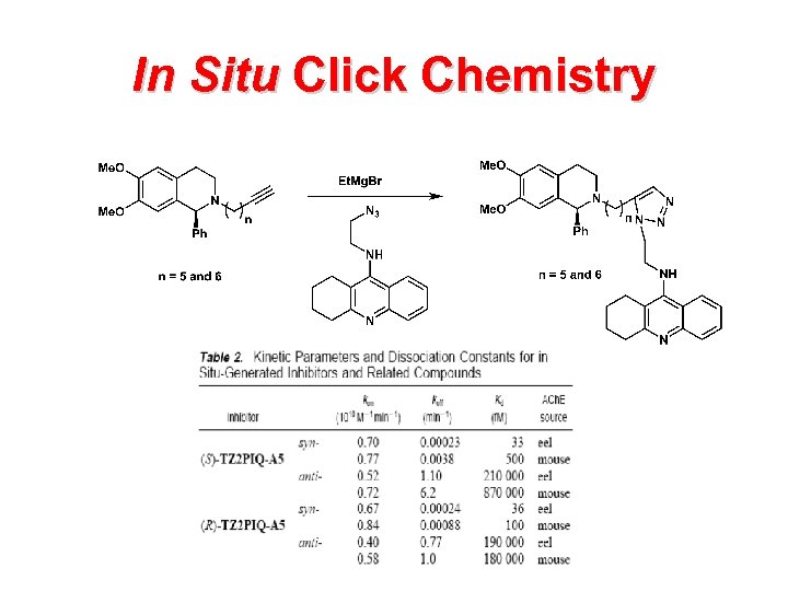 In Situ Click Chemistry 