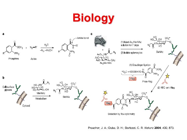 Biology 