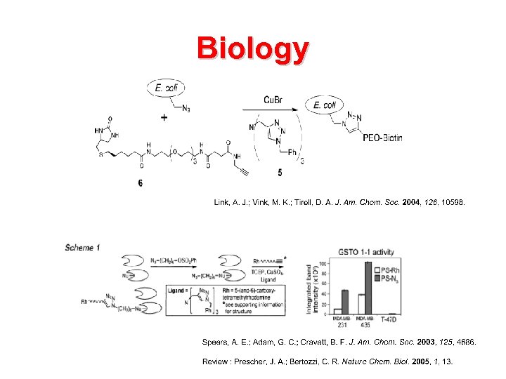 Biology 