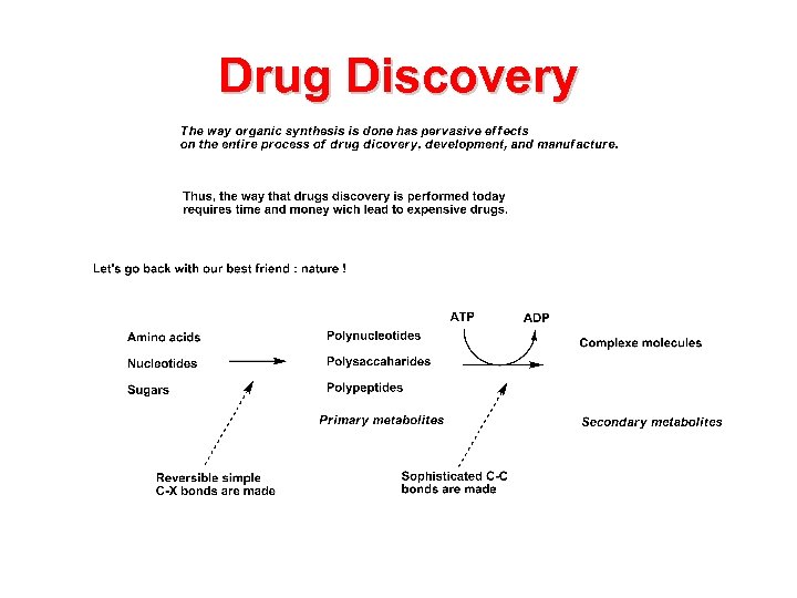 Drug Discovery 