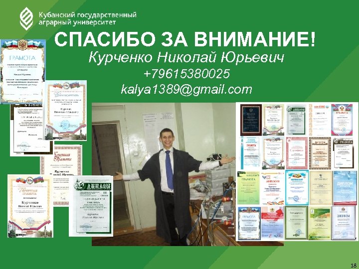 СПАСИБО ЗА ВНИМАНИЕ! Курченко Николай Юрьевич +79615380025 kalya 1389@gmail. com 18 