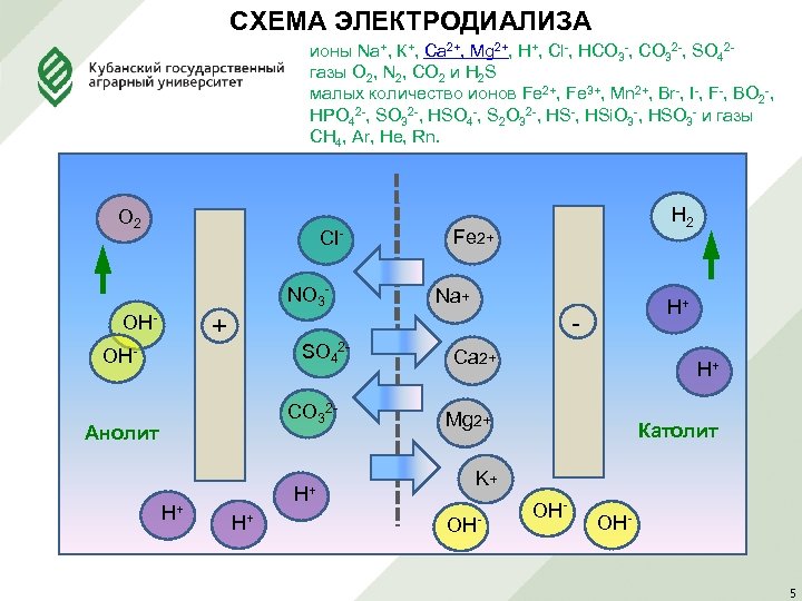 СХЕМА ЭЛЕКТРОДИАЛИЗА ионы Na+, К+, Са 2+, Mg 2+, Н+, Cl-, НСО 3 -,