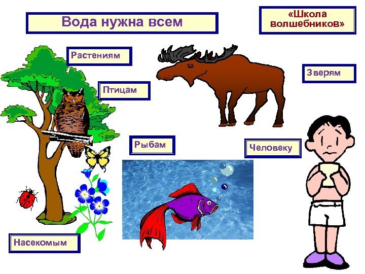 Что дают растения животным и человеку картинки