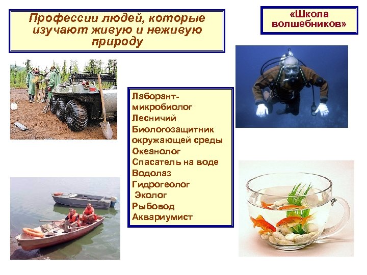 Профессии людей, которые изучают живую и неживую природу Лаборантмикробиолог Лесничий Биологозащитник окружающей среды Океанолог