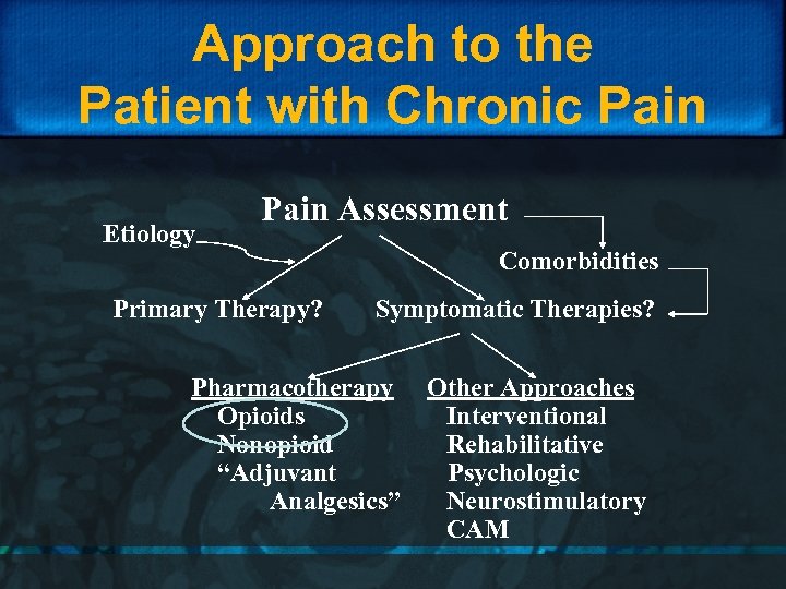 Approach to the Patient with Chronic Pain Etiology Pain Assessment Primary Therapy? Comorbidities Symptomatic