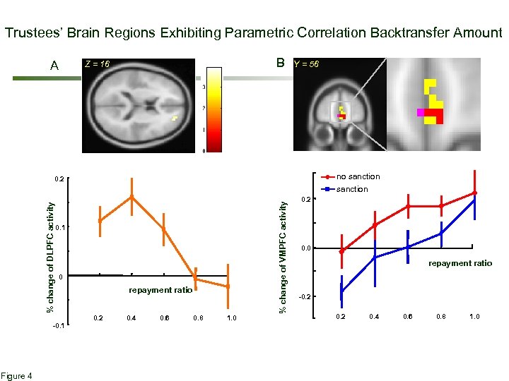Trustees’ Brain Regions Exhibiting Parametric Correlation Backtransfer Amount A B Z = 16 Y