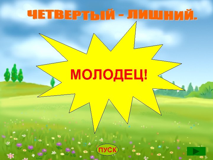 МОЛОДЕЦ! ПУСК 