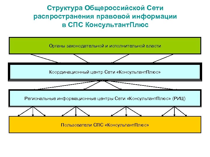Структура Общероссийской Сети распространения правовой информации в СПС Консультант. Плюс Органы законодательной и исполнительной
