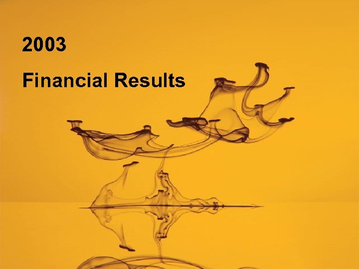 2003 Financial Results 