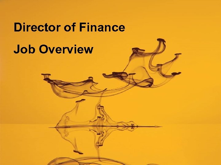 Director of Finance Job Overview 