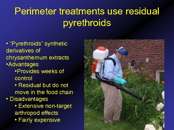 Perimeter treatments use residual pyrethroids • “Pyrethroids” synthetic derivatives of chrysanthemum extracts • Advantages