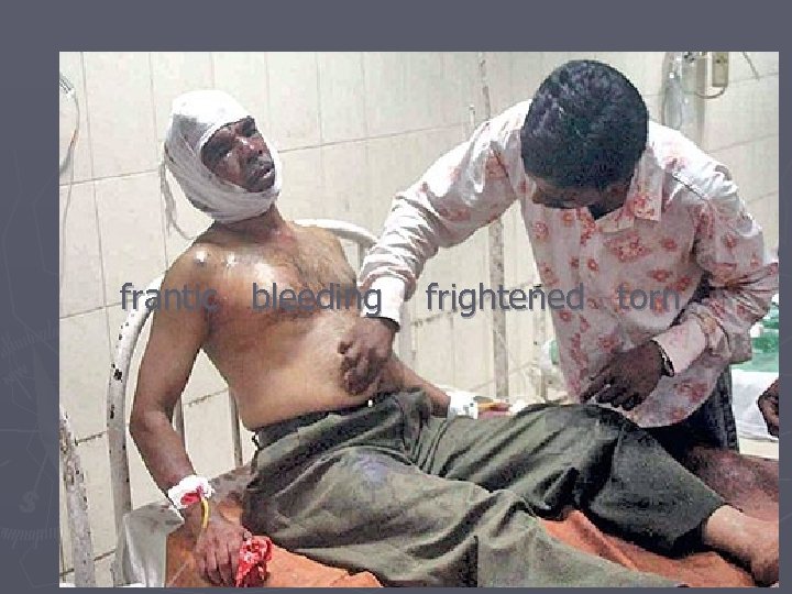 frantic bleeding frightened torn. 